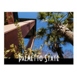 south carolina postcard
