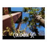south carolina postcard