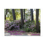 South Carolina Wildflowers Canvas Print