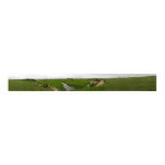 South Dakota Panoramic 3