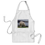 South Devon Lamb On Remote Wild Coastline Apron