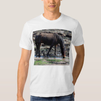 dartmoor t shirt