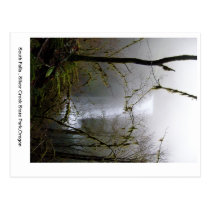 South Falls postcards