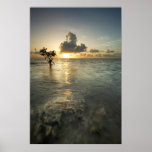 South Florida Sunrise Print