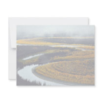 South Fork of Koyukuk River invitations by animalpark South Fork of Koyukuk River invitations