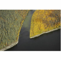 South Fork of Koyukuk River photo sculptures by animalpark South Fork of Koyukuk River photo sculptures