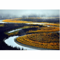 South Fork of Koyukuk River photo sculptures by animalpark South Fork of Koyukuk River photo sculptures