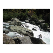 South Fork Rapid posters by epaul South Fork Rapid posters