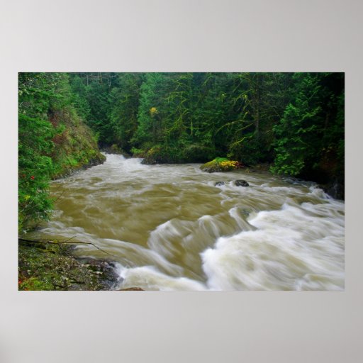 South Fork Snoqualmie River Print