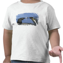South Georgia Island, St. Andrews Bay, King T-shirts