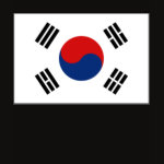 South Korea Flag Map Spaghetti Top