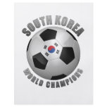 SOUTH KOREA SOCCER CHAMPIONS flyers