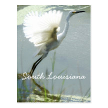 South Louisiana Post Card