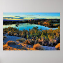 South Mesquite Bay Posters