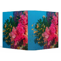 South Pacific, Fiji, Viti Levu, Bligh Water, Binders