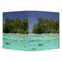 South Pacific, French Polynesia, Moorea 2 Binder