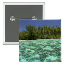 South Pacific, French Polynesia, Moorea 3 Pinback Button