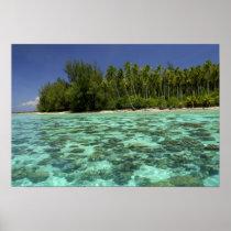 South Pacific, French Polynesia, Moorea 3