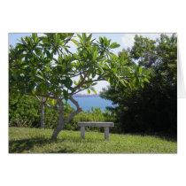 South Shore Bermuda cards