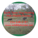 South Texas Hog Hunting Sticker