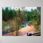 South Umpqua River Posters