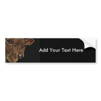 South West Calf Bumper Sticker