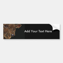 South West Calf Bumper Sticker