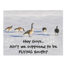 Southbound Ducks Post Cards