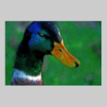 Southbound Mallard Print