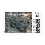 Southern Bahamas Boa Postage Stamp