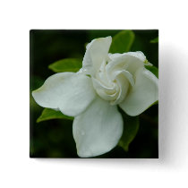 Southern Belle Pinback Button