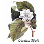 rose, flower, gardens, gardener, gardening,