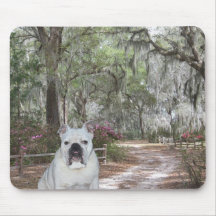 Southern Belle Mouse Pad