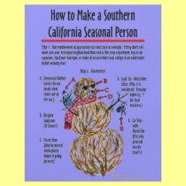 Southern California Seasonal Person Flyer