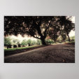 Southern Cemetery Poster