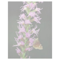 Southern cludywing skipper letterhead by animalpark Southern cludywing skipper letterhead