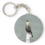 Southern Crested Caracara keychains