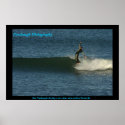southern exposure posters