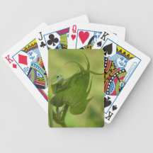 Southern Greens Deck Of Cards