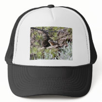 Southern Idaho Ground Squirrel hats by animalpark Southern Idaho Ground Squirrel hats