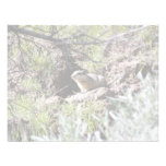 Southern Idaho Ground Squirrel Personalized Invitations