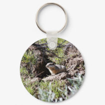 Southern Idaho Ground Squirrel keychains by animalpark Southern Idaho Ground Squirrel keychains