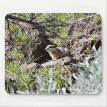 Southern Idaho Ground Squirrel mousepads by animalpark Southern Idaho Ground Squirrel mousepads