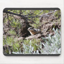 Southern Idaho Ground Squirrel mousepads by animalpark Southern Idaho Ground Squirrel mousepads