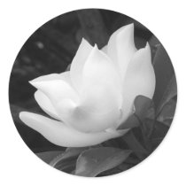 Southern Magnolia Bloom stickers by princessklb07 Southern Magnolia Bloom stickers