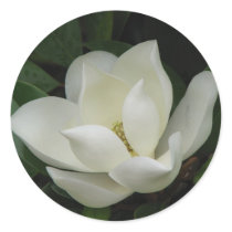 Southern Magnolia Bloom stickers by princessklb07 Southern Magnolia Bloom stickers