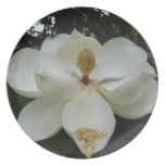 Southern Magnolia Blossom Decorative Plate