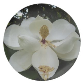 Southern Magnolia Blossom Decorative Plate plate