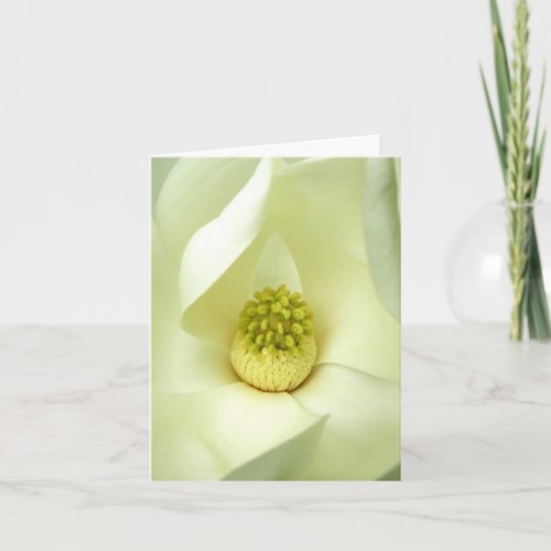 Southern Magnolia Blossom Note Card card