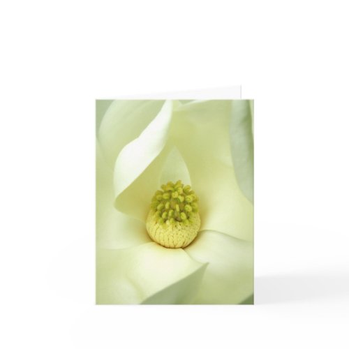 Southern Magnolia Blossom Note Card card